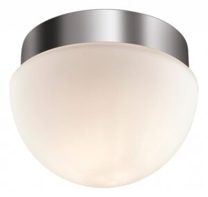 Светильник накладной Odeon Light Minkar 2443/1A