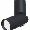 Светильник накладной Maytoni Dafne C027CL-L10B