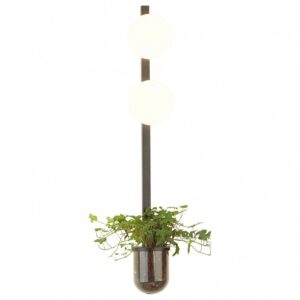 Бра  Odeon Light Flower 4681/2WA