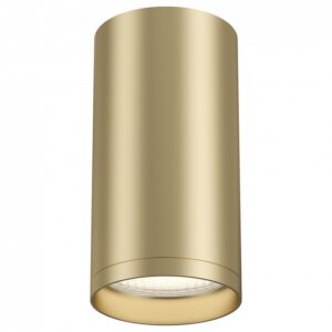 Светильник накладной Maytoni Focus S C052CL-01MG