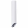 Светильник накладной Arte Lamp Pilon-Silver A1536PL-1WH