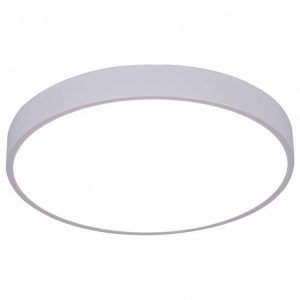 Светильник потолочный Arte Lamp Arena A2661PL-1WH