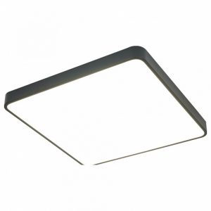 Светильник потолочный Arte Lamp Scena A2669PL-1BK
