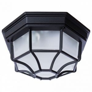 Уличный светильник потолочный Arte Lamp Pegasus A3100PL-1BK