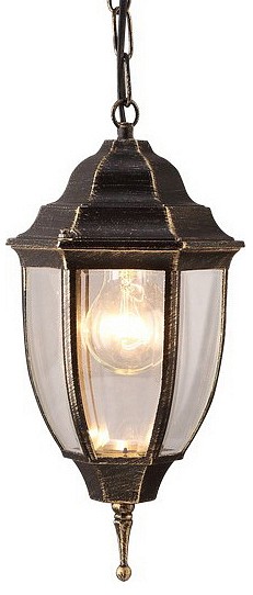 Уличный светильник подвесной Arte Lamp Pegasus A3151SO-1BN