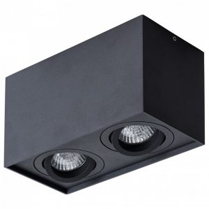 Светильник накладной Arte Lamp Factor A5544PL-2BK