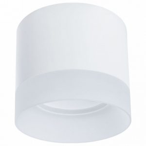 Светильник накладной Arte Lamp Castor A5554PL-1WH