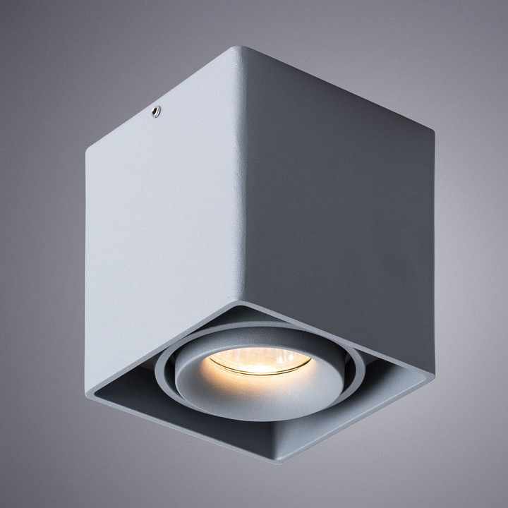 Светильник накладной Arte Lamp Pictor A5654PL-1GY — изображение 2
