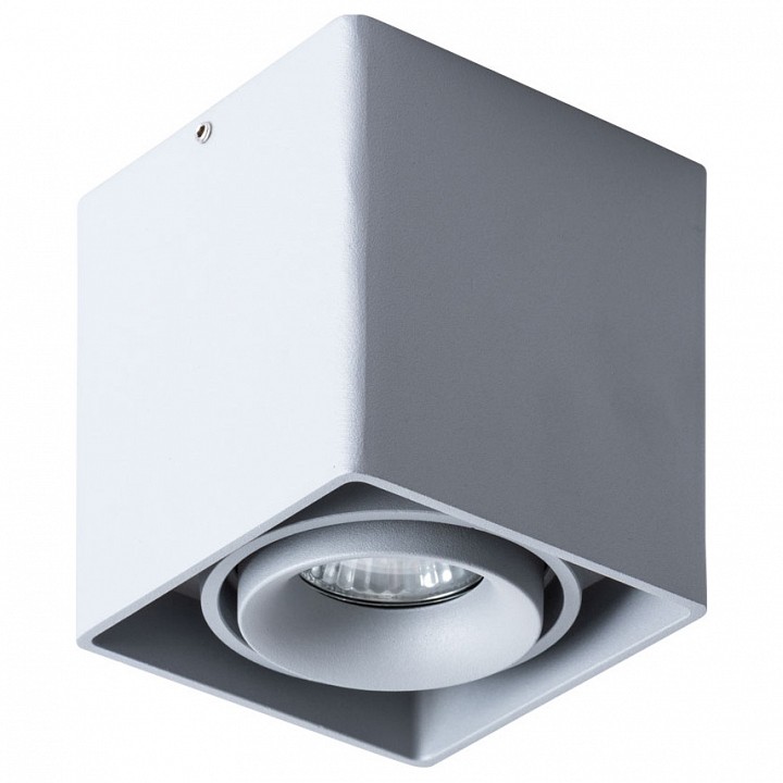 Светильник накладной Arte Lamp Pictor A5654PL-1GY
