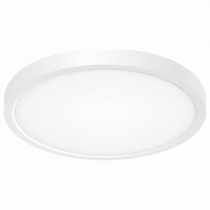 Светильник потолочный Citilux Бейсик CL738180V