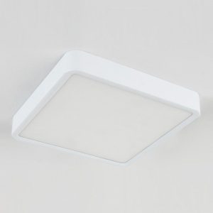 Светильник накладной Elektrostandard DLR034 a043017