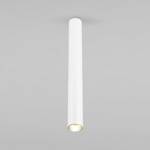 Светильник накладной Elektrostandard 25030/LED a061119