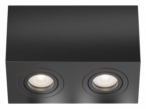 Светильник накладной Maytoni Atom C017CL-02B