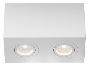 Светильник накладной Maytoni Atom C017CL-02W