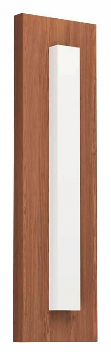 Уличный светильник настенный Eglo Bitetto 900679