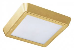 Уличный светильник потолочный Lightstar Urbano 216832