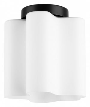 Светильник накладной Lightstar Nubi 802017