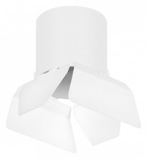 Светильник накладной Lightstar Rullo R3486486