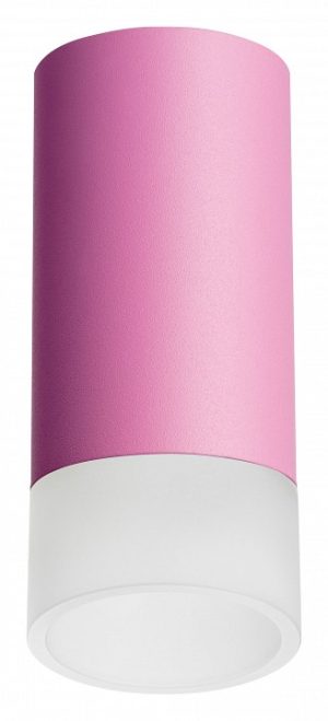 Светильник накладной Lightstar Rullo R43231