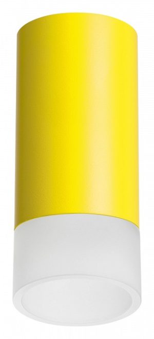 Светильник накладной Lightstar Rullo R43331