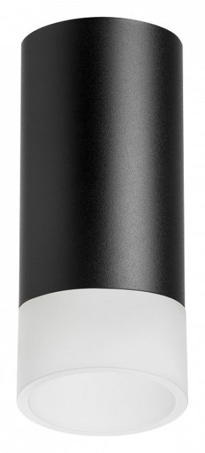 Светильник накладной Lightstar Rullo R43731