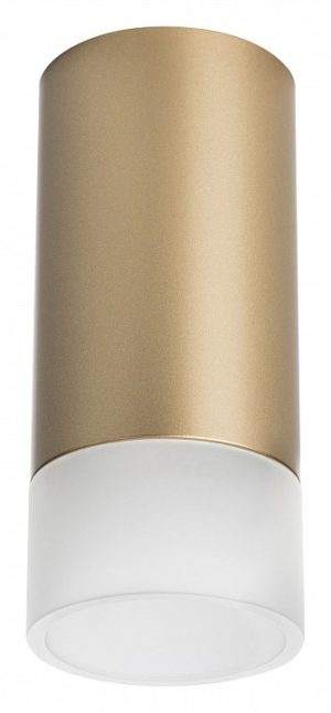 Светильник накладной Lightstar Rullo R44031
