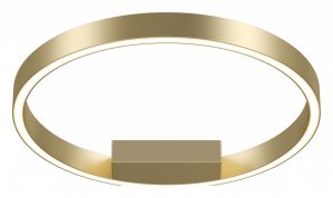 Светильник потолочный Maytoni Rim MOD058CL-L25BSK