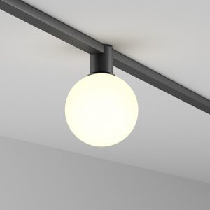 Alternative view of Трековая система светильник Maytoni Luna TR171-1-5W3K-WB