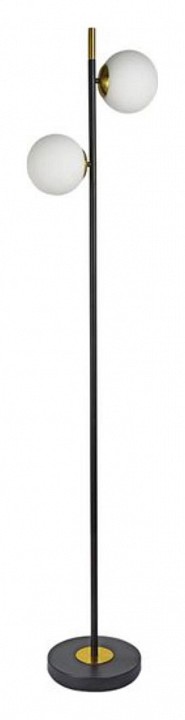 Торшер  Arte Lamp Alcor A2224PN-2BK