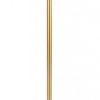 Торшер  Arte Lamp Cassel A5454PN-2PB