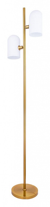 Торшер  Arte Lamp Cassel A5454PN-2PB