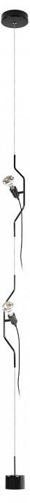 Светильник на растяжке Loft it Parentesi 10346/2 Black